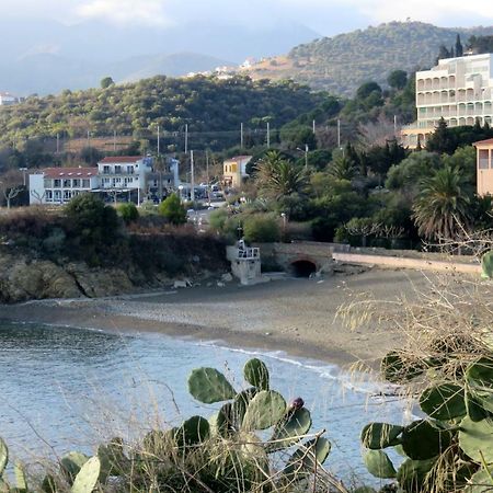 Les Pieds Dans L'Eau Lägenhet Banyuls-sur-Mer Exteriör bild